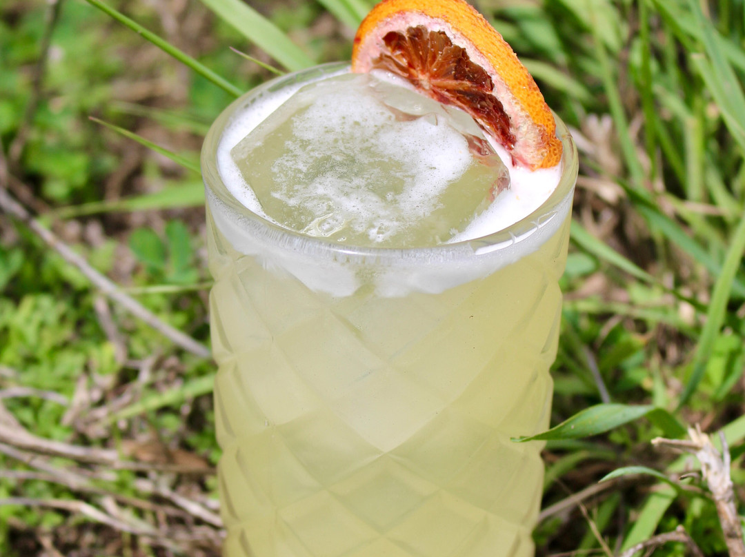 Ida Graves Distillery-Alexandria必去景点