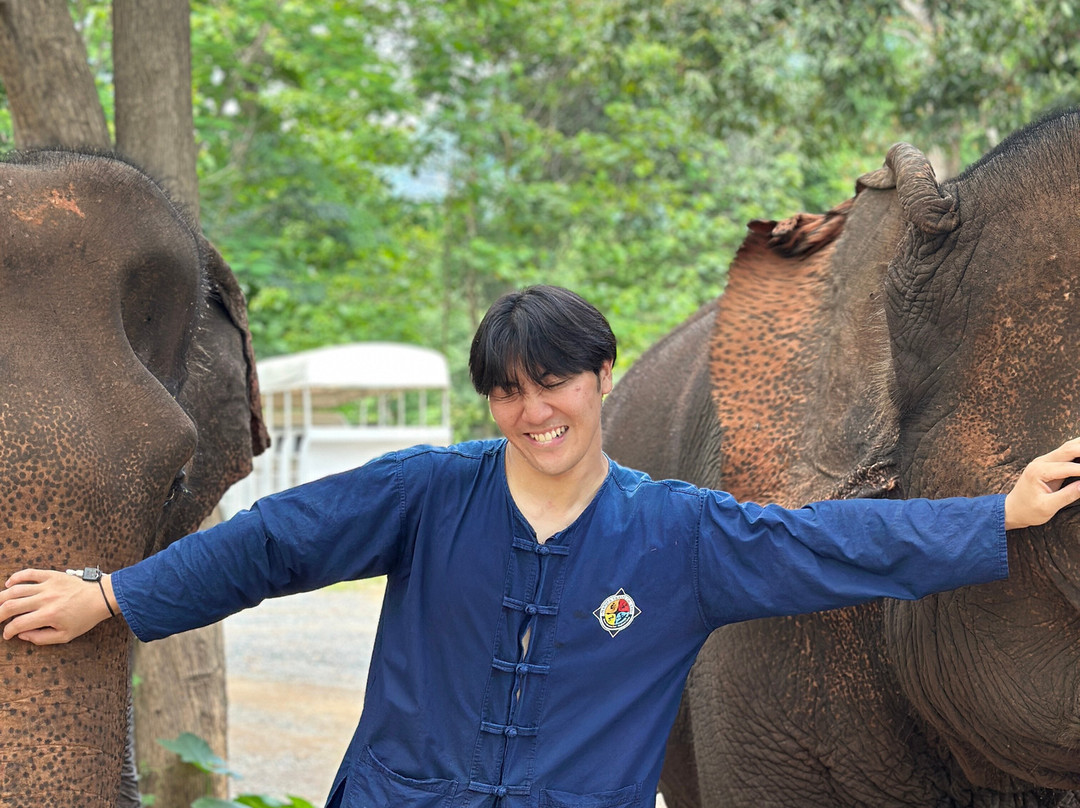 Manifa Elephant Camp-Sang Ha必去景点