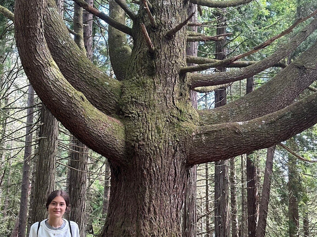 Madeira Orchid Travel-沙尔必去景点