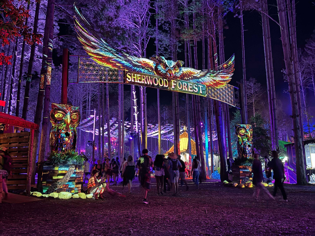 Electric Forest-Montague必去景点