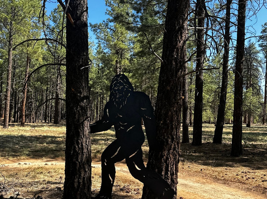 The Barefoot Trail - Flagstaff-弗拉格斯塔夫必去景点