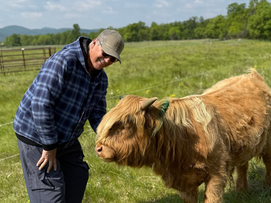 Black Hills Highlands-Spearfish必去景点