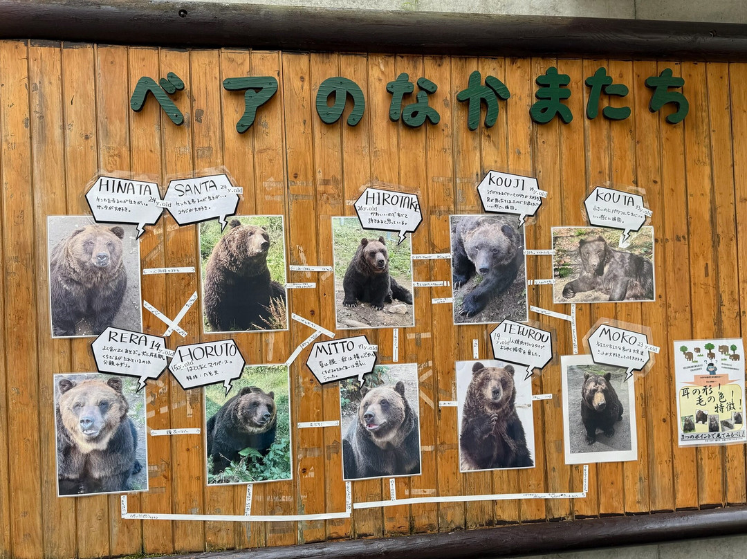 Bear Mountain Sahoro-新得町必去景点