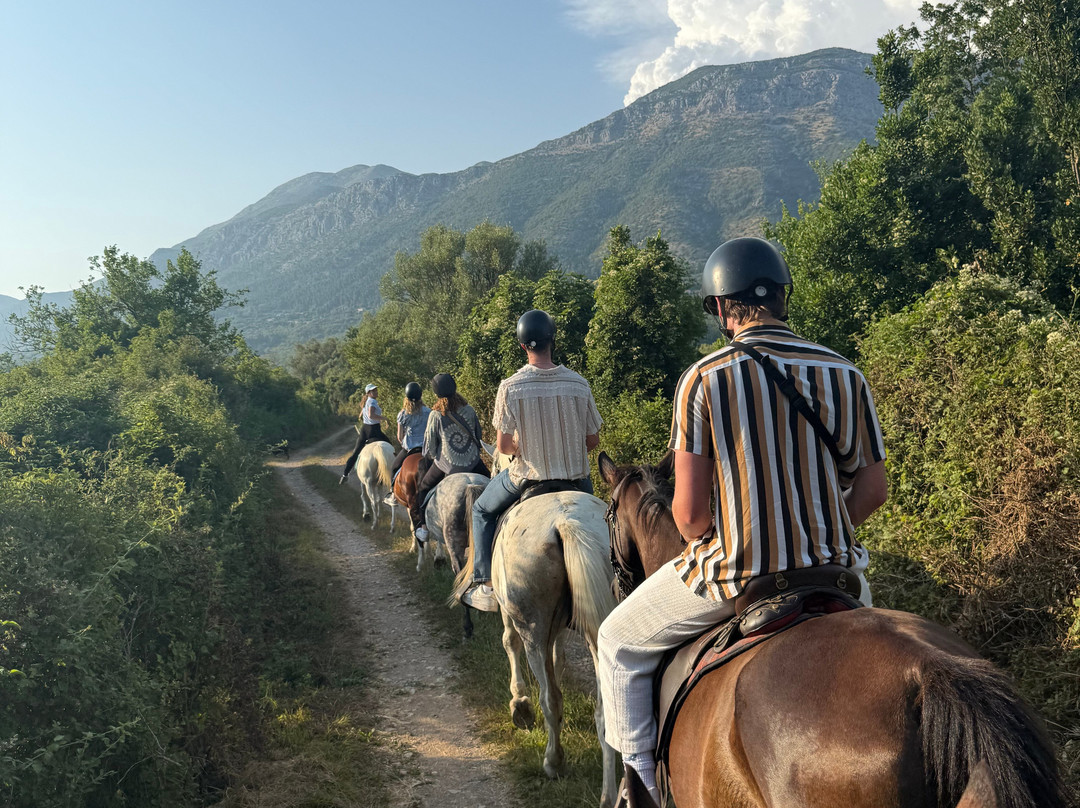 Ranch Dubrovnik-Gruda必去景点