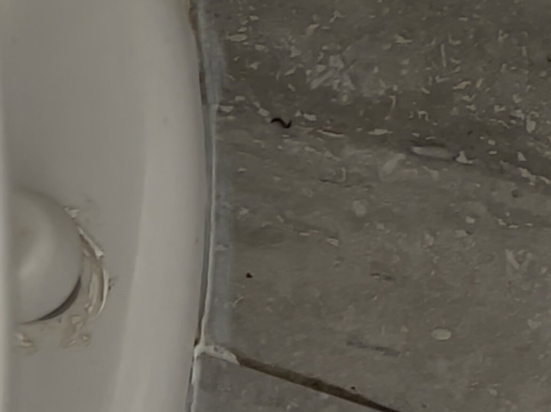 Days Inn by Wyndham Jackson主图