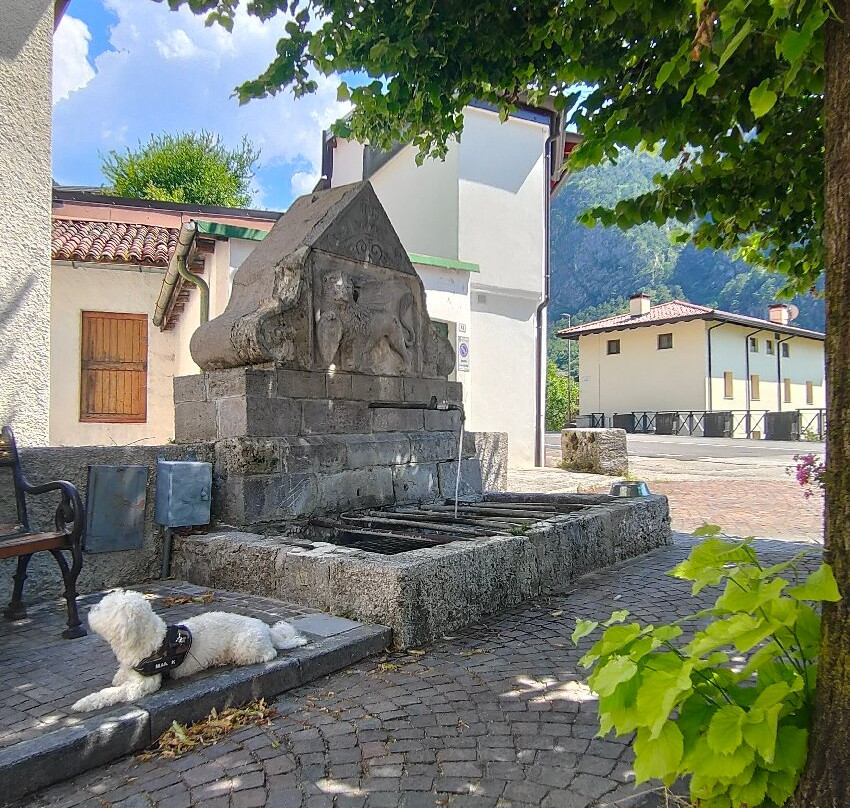 Il Leone della fontana di Chiusaforte