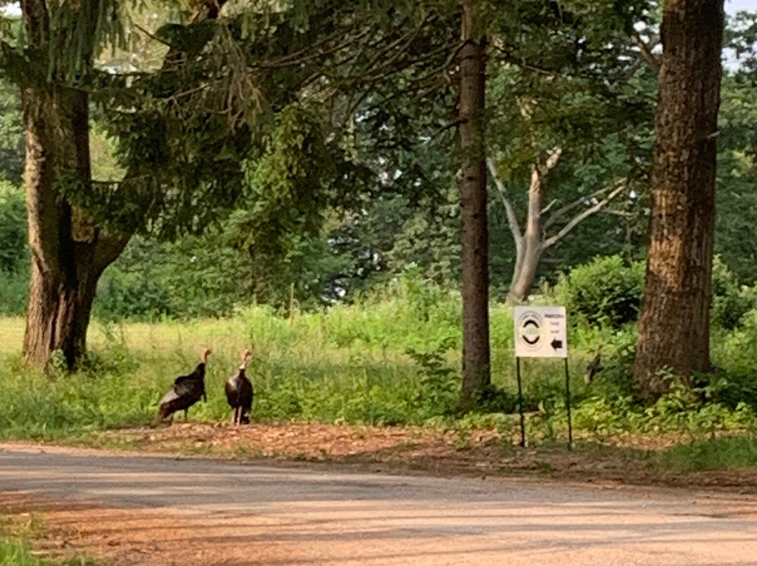 Mackworth Island-Falmouth必去景点