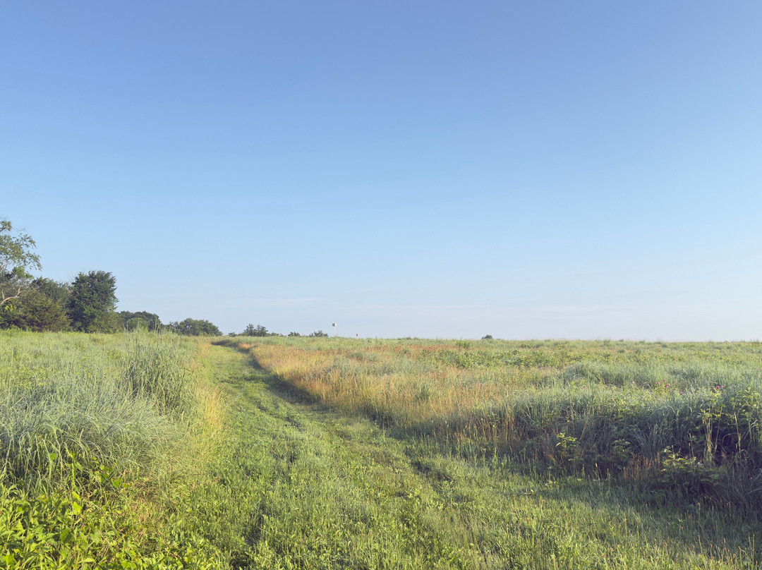 Negri-Napote Native Grassland Preserve-萨默塞特必去景点