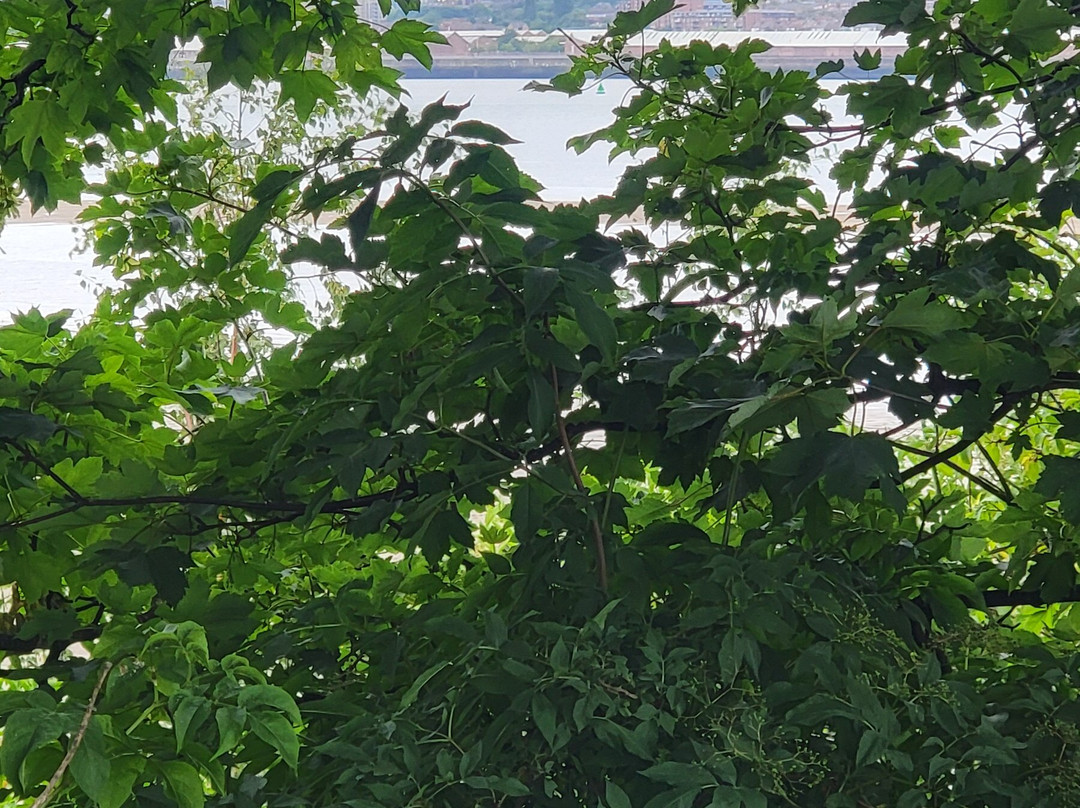 Port Sunlight River Park-Port Sunlight必去景点