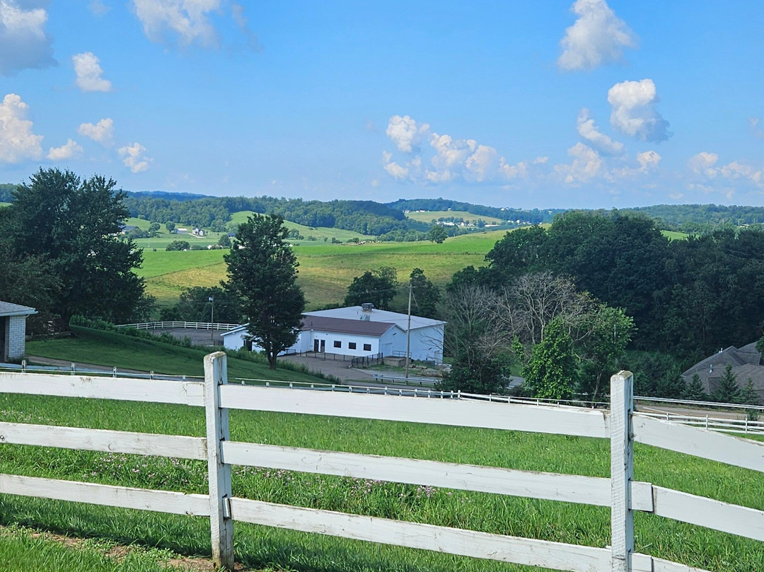 Troyer's Amish Tours-Millersburg必去景点