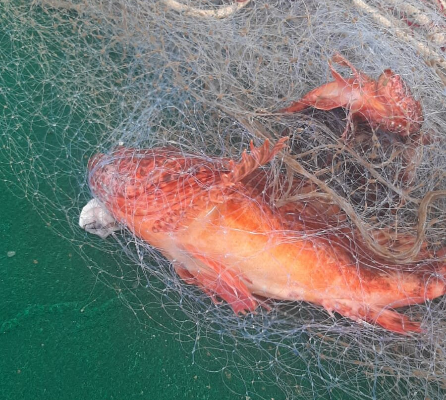 Pescaturismo Valentina-Sant'Anna Arresi必去景点