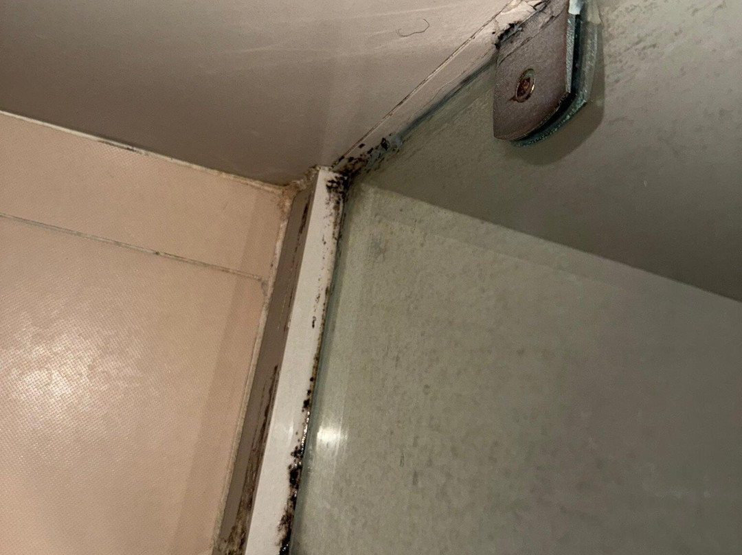 LIDOTEL Paraguaná主图