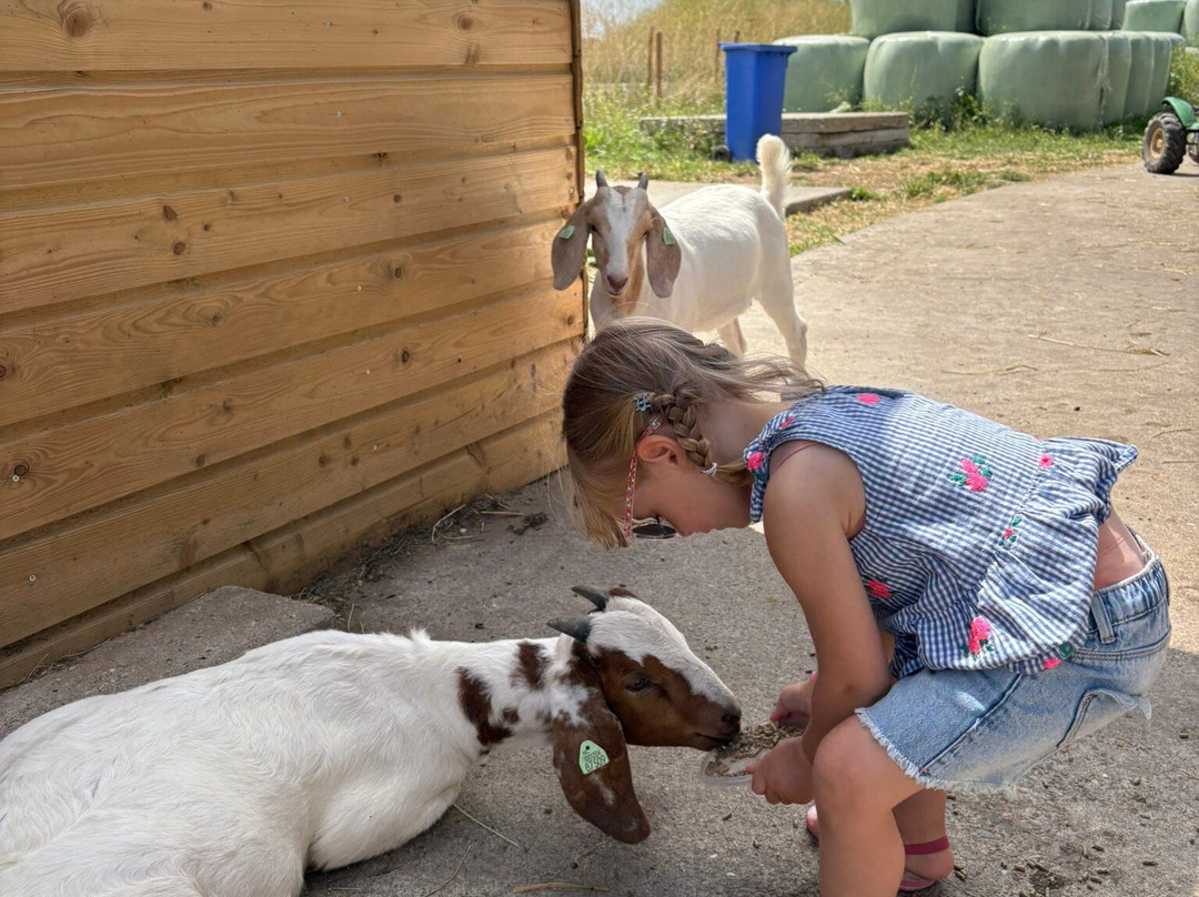 Harm's Hoeve-Malden必去景点