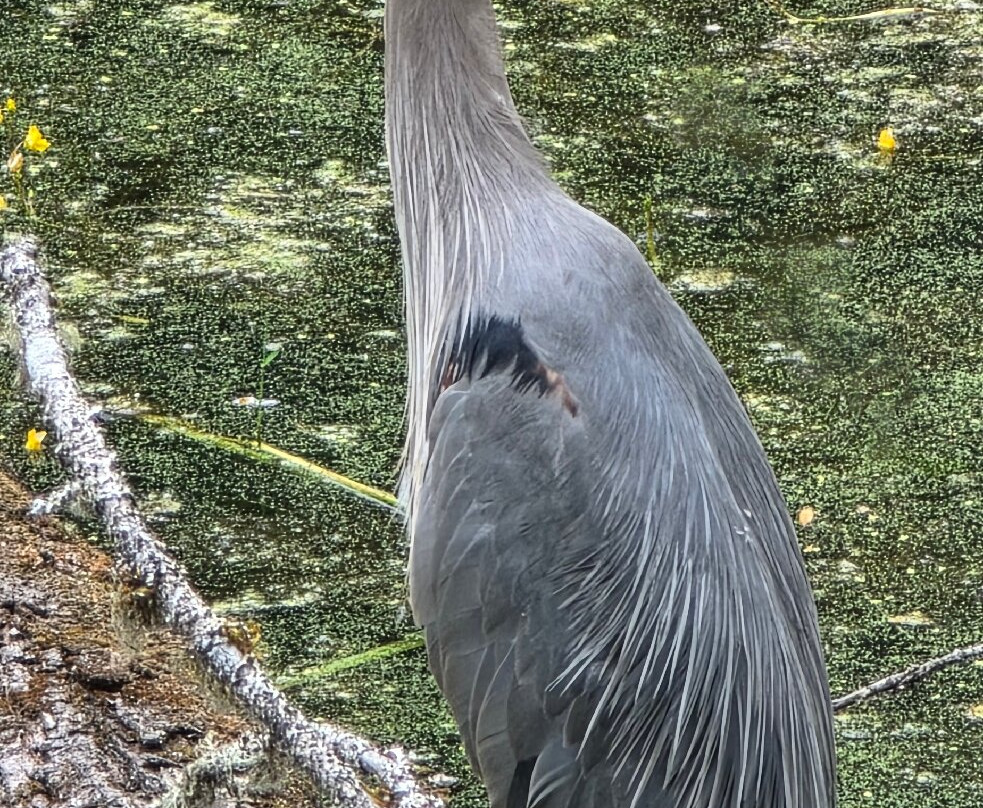 尼斯阔利国家野生动物保护区-奥林匹亚必去景点