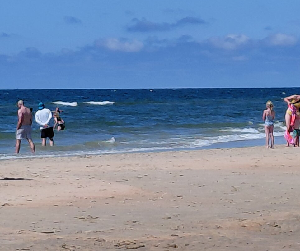 Strand van Castricum-Castricum必去景点
