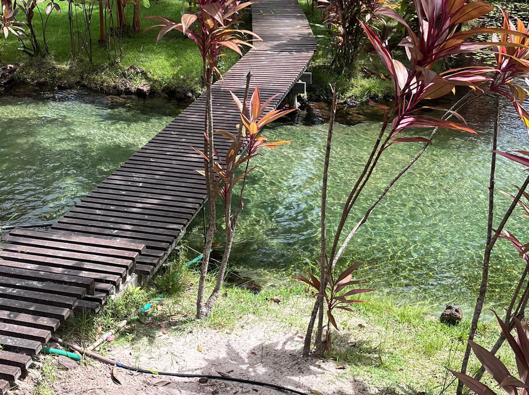 Tao Paradise-Pureza必去景点