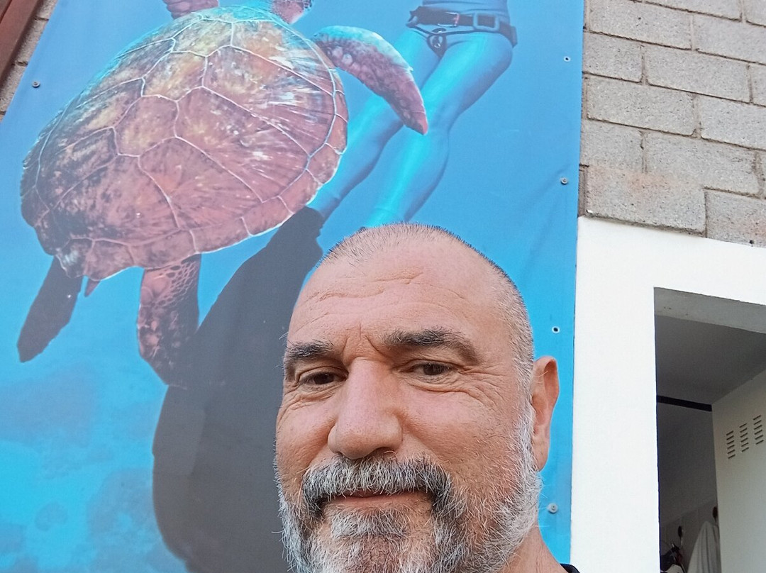 Apnea Canarias Freediving Center-圣克鲁斯-德特内里费必去景点