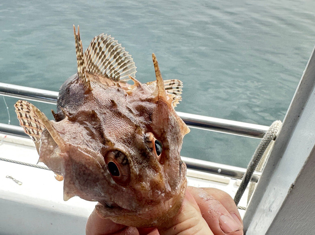 Eastport Windjammers-Eastport必去景点