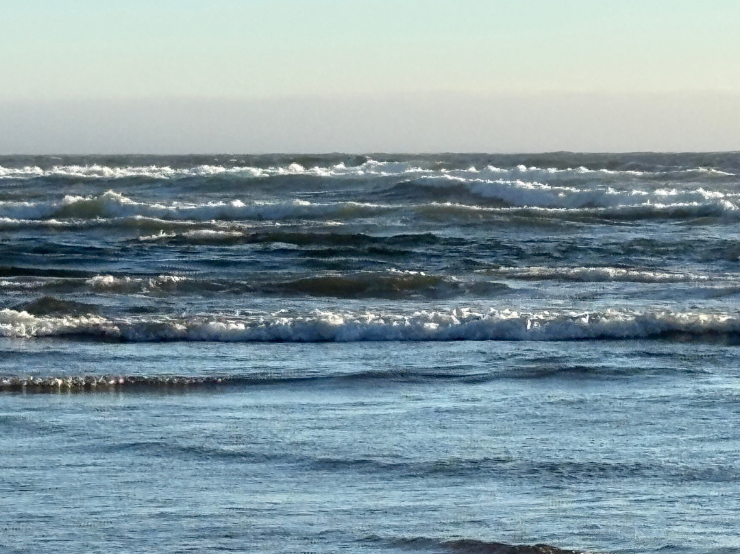 Ocean Inn at Manzanita主图