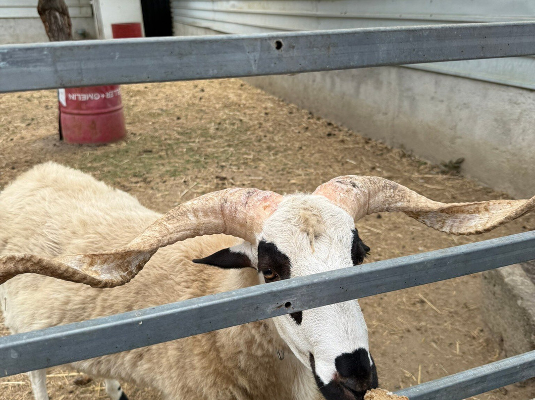 Quinta Pedagógica Quinta das Manas-吉马良斯必去景点