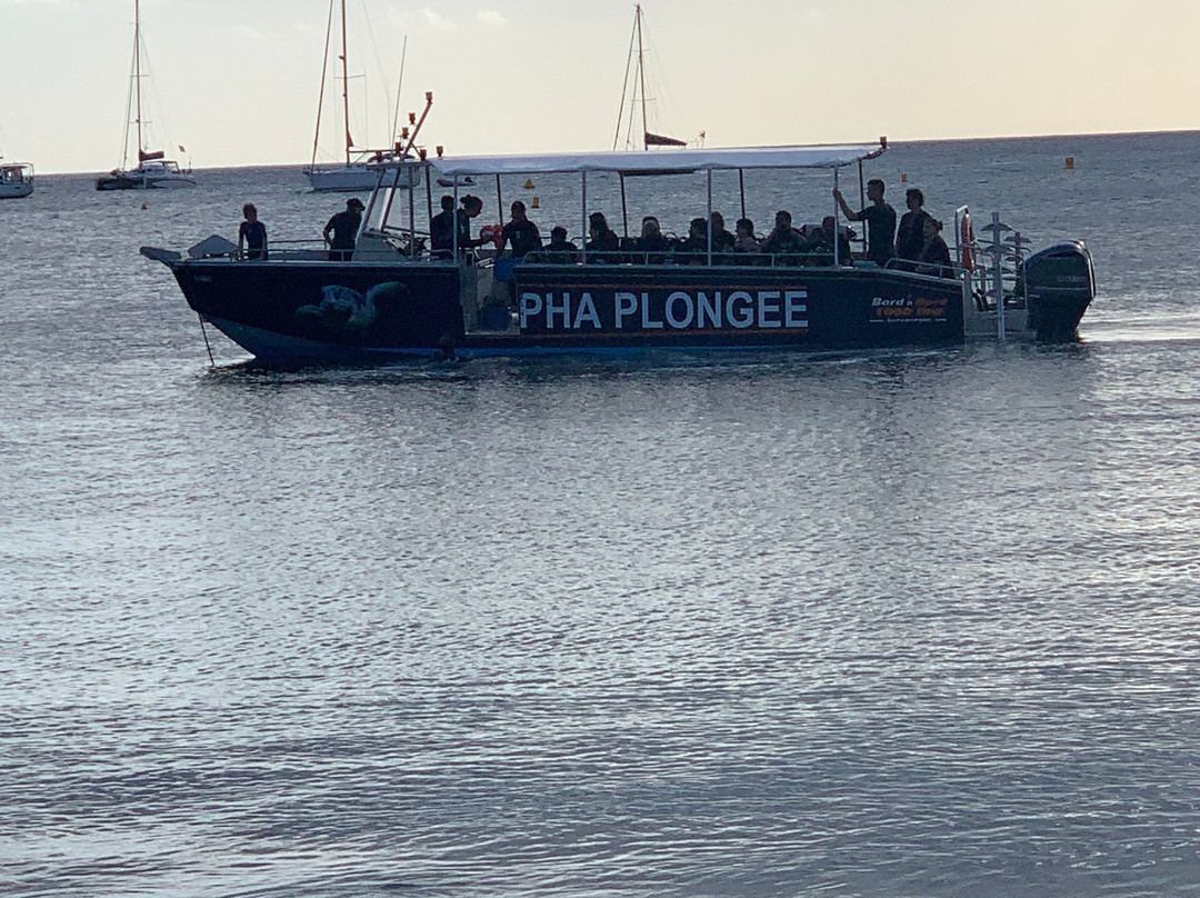 Alpha Plongée Martinique-Les Anses d'Arlet必去景点