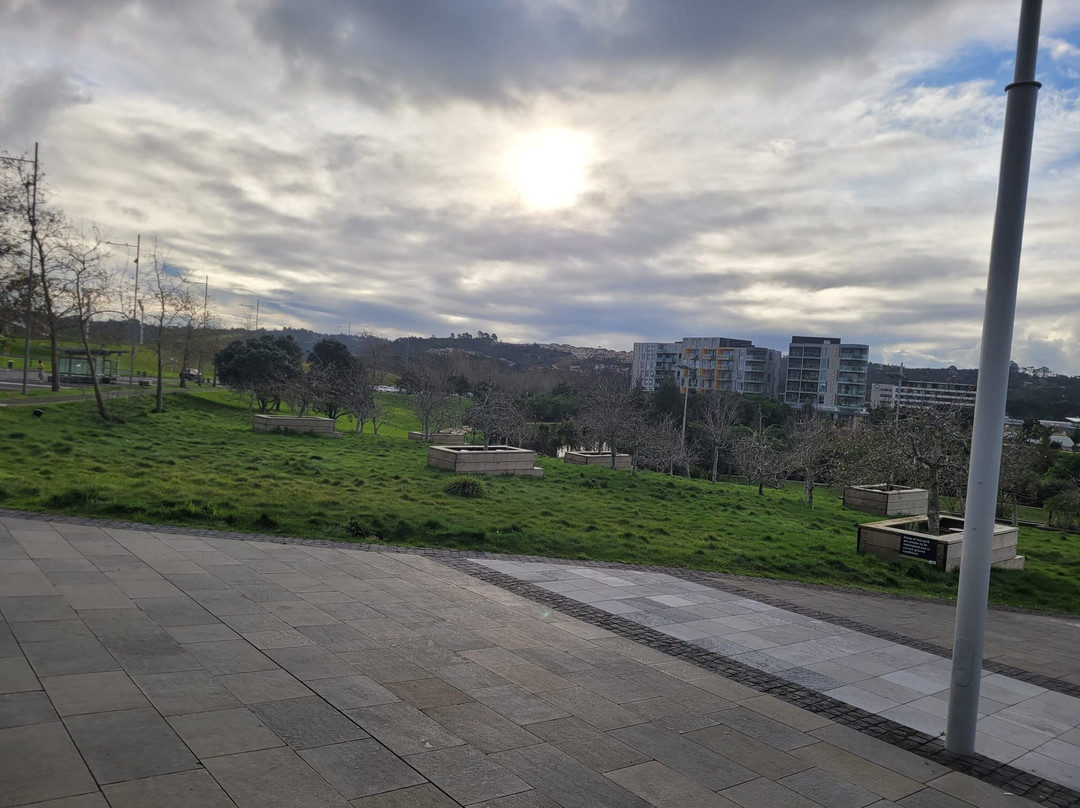 Albany Lakes Civic Park-奥尔巴尼必去景点