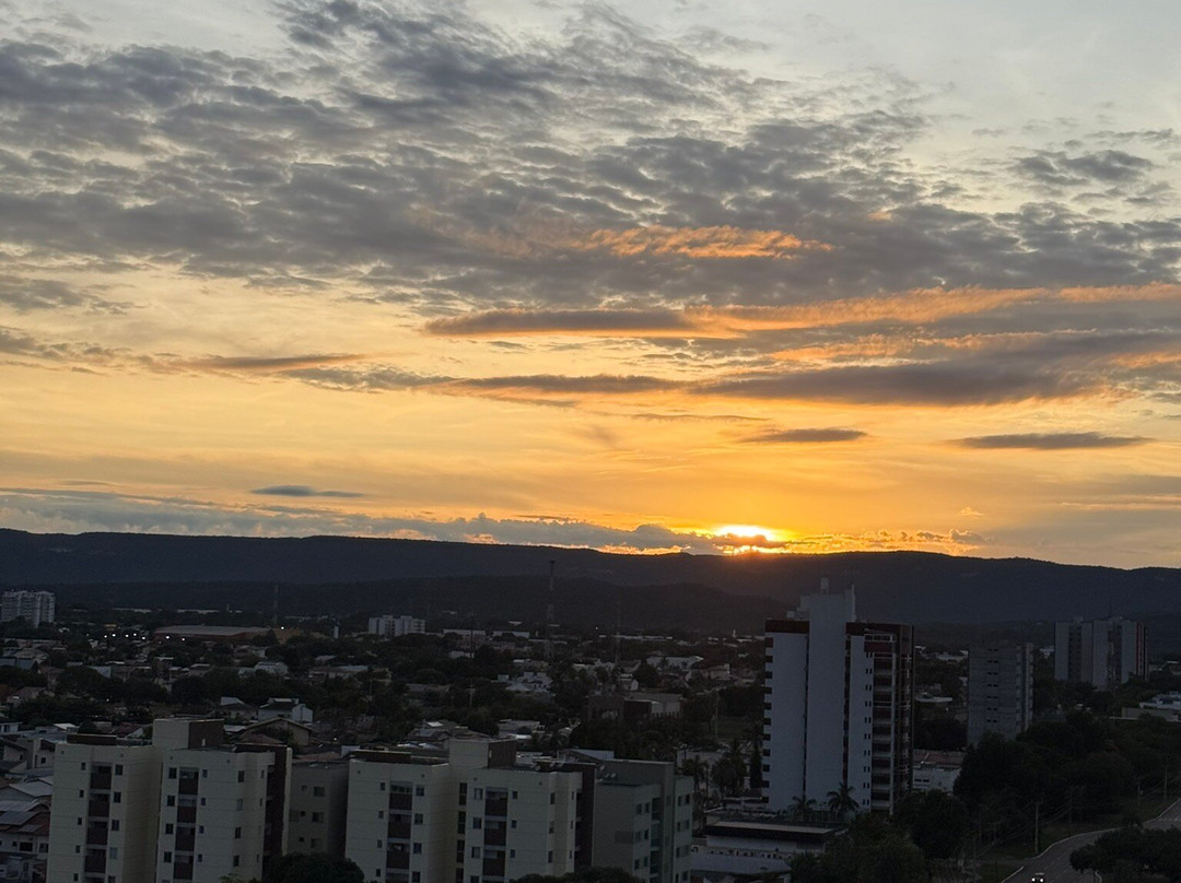 HPlus Premium Palmas主图