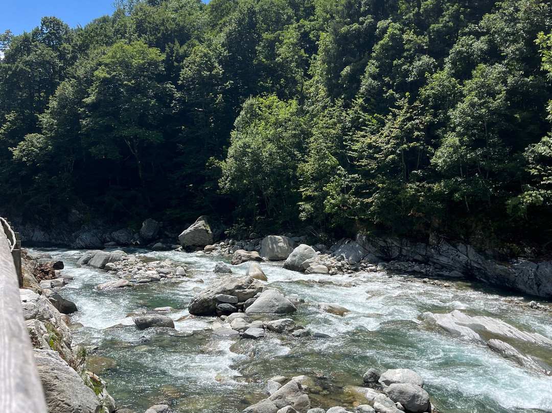 Alpine Rider Center-Mollia必去景点