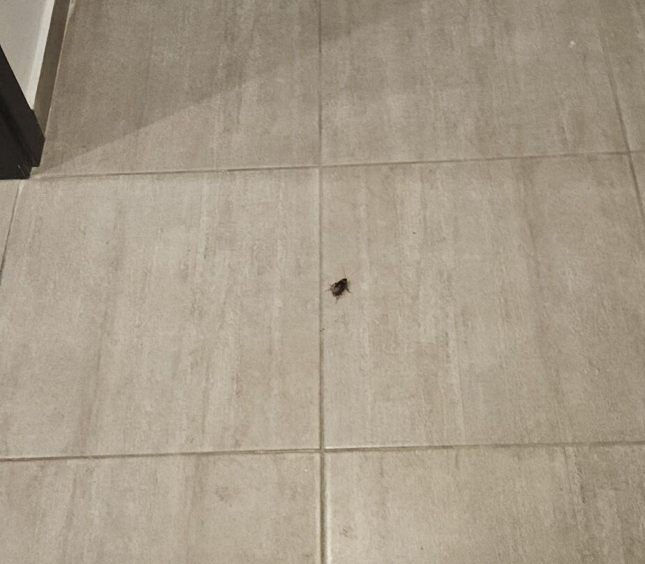 Evita Resort Hotel主图