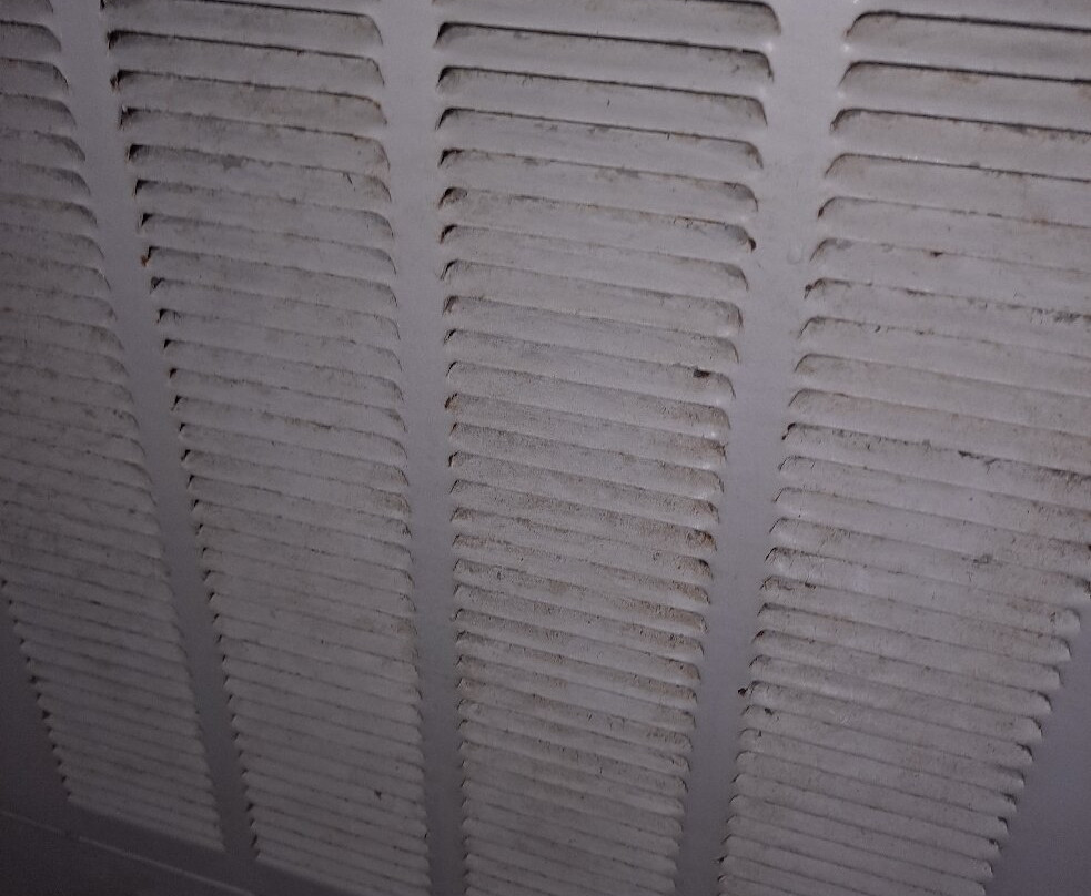 Islander Beach Resort主图