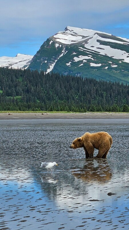 Catch A Lot Charters-荷马必去景点