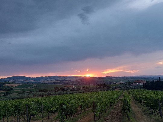 诺托拉别墅酒店主图