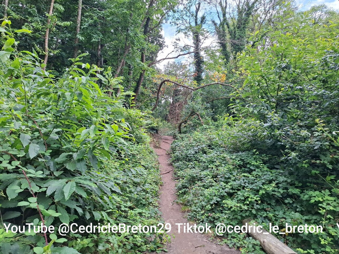 Vallée des Traouïero-皮若斯必去景点