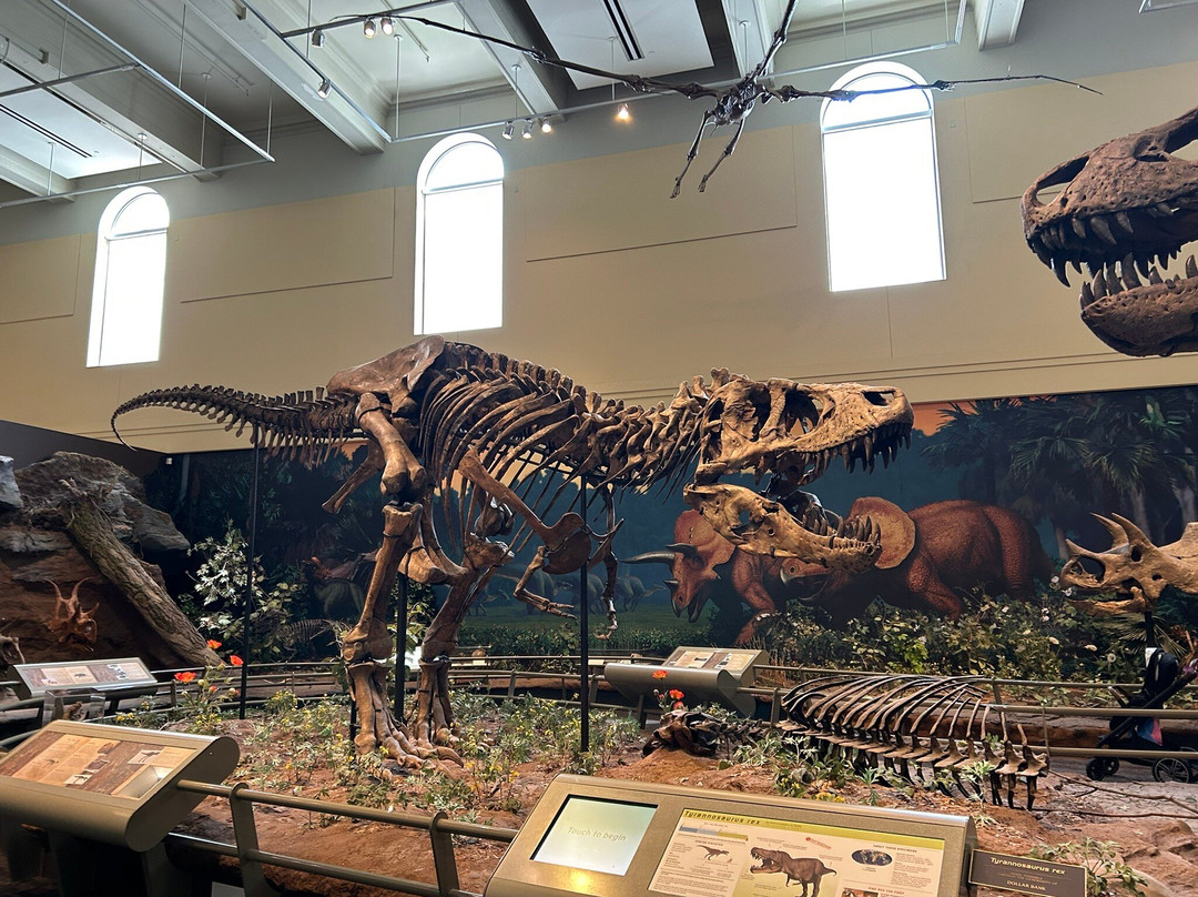 卡内基自然历史博物馆-匹兹堡必去景点