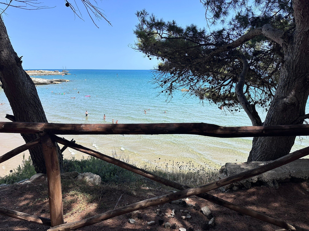 Spiaggia dei Colombi-维耶斯泰必去景点