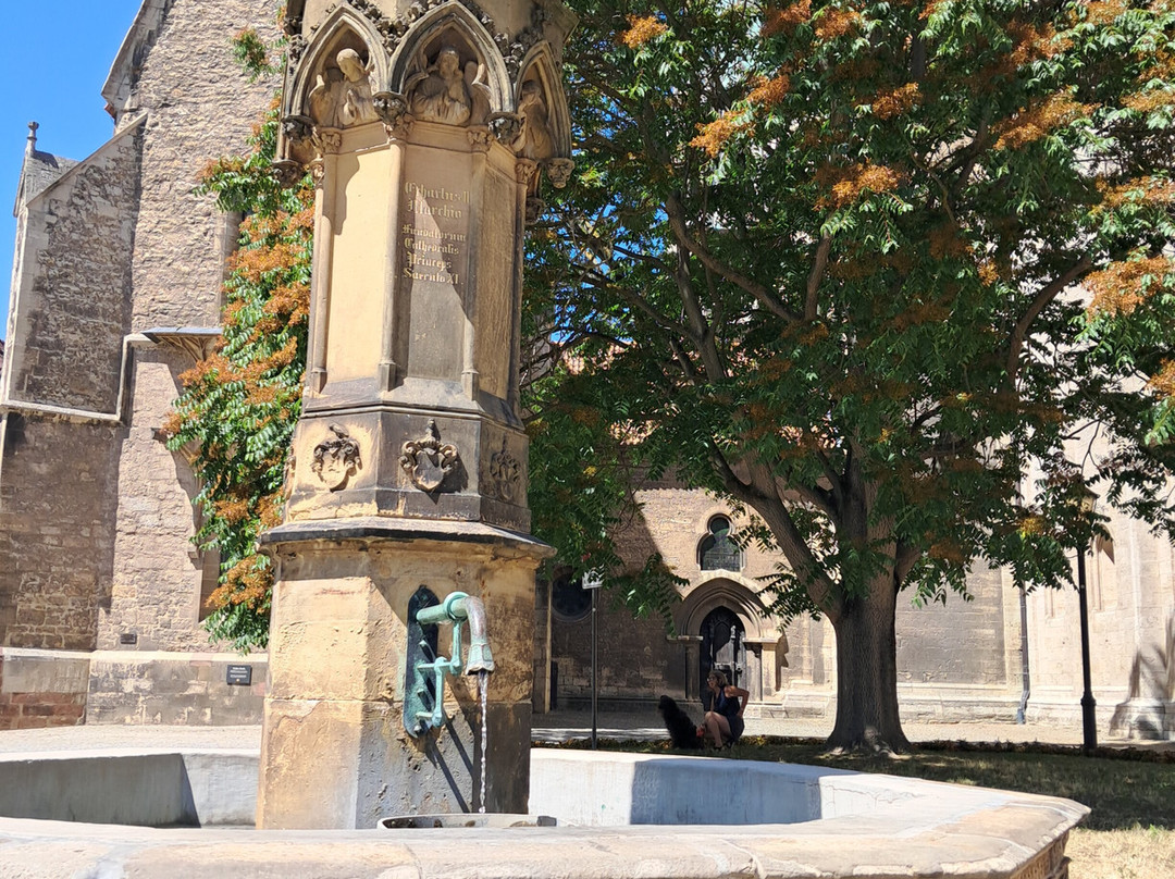 Der Ekkehardbrunnen am Naumburger Dom-Naumburg必去景点