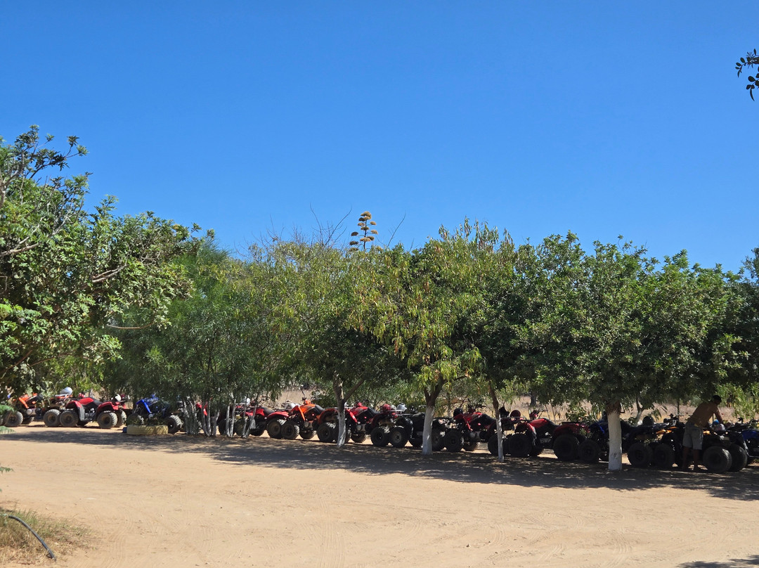 Salma Evasion Quad Hammamet-哈玛麦德必去景点