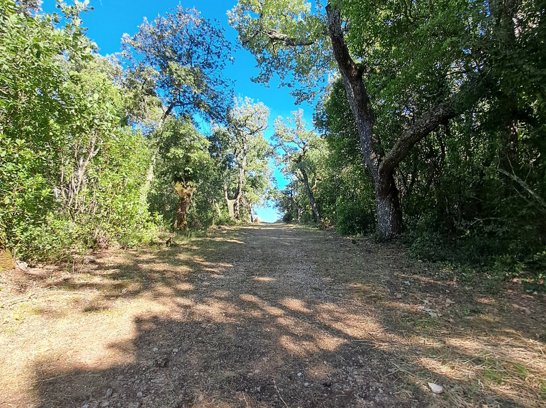 Château-Saint-Martin-de-Pallieres必去景点