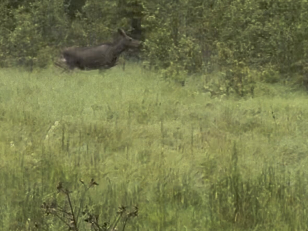 Offroad Varmland-Munkfors必去景点