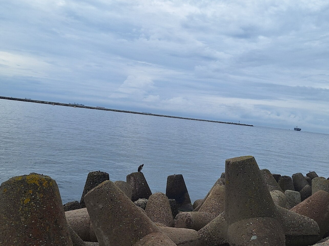 Vistula Spit-Baltiysk必去景点