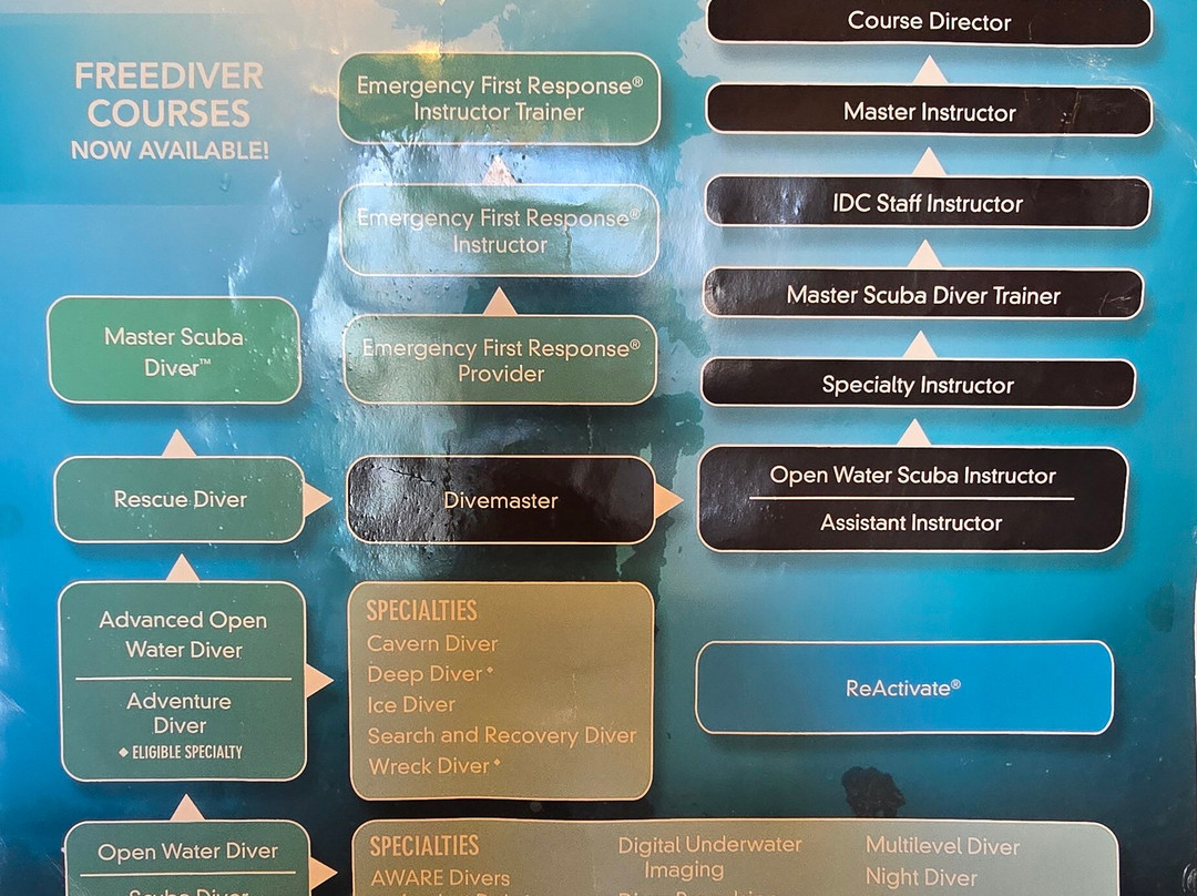 OK Diving Malta-圣保罗湾城必去景点