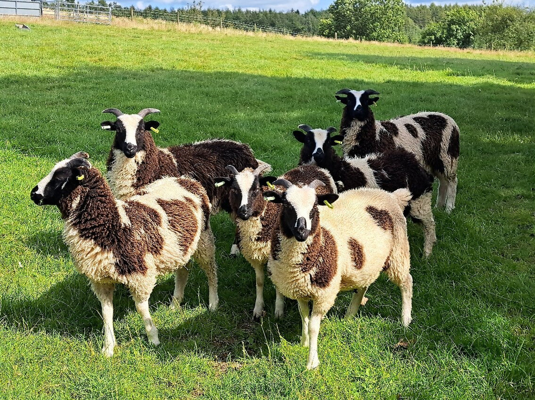 Huxtable Farm Bed & Breakfast And Camping主图