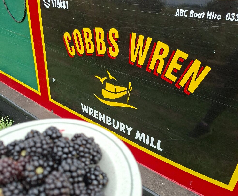 ABC Boat Hire-Northwich必去景点