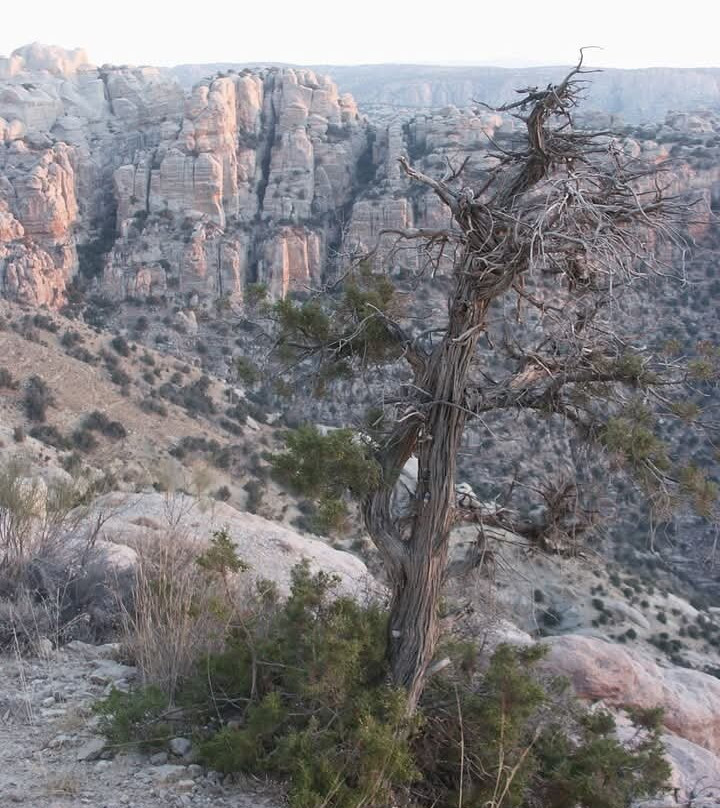 Dana To Petra Trail Guide-Dana必去景点