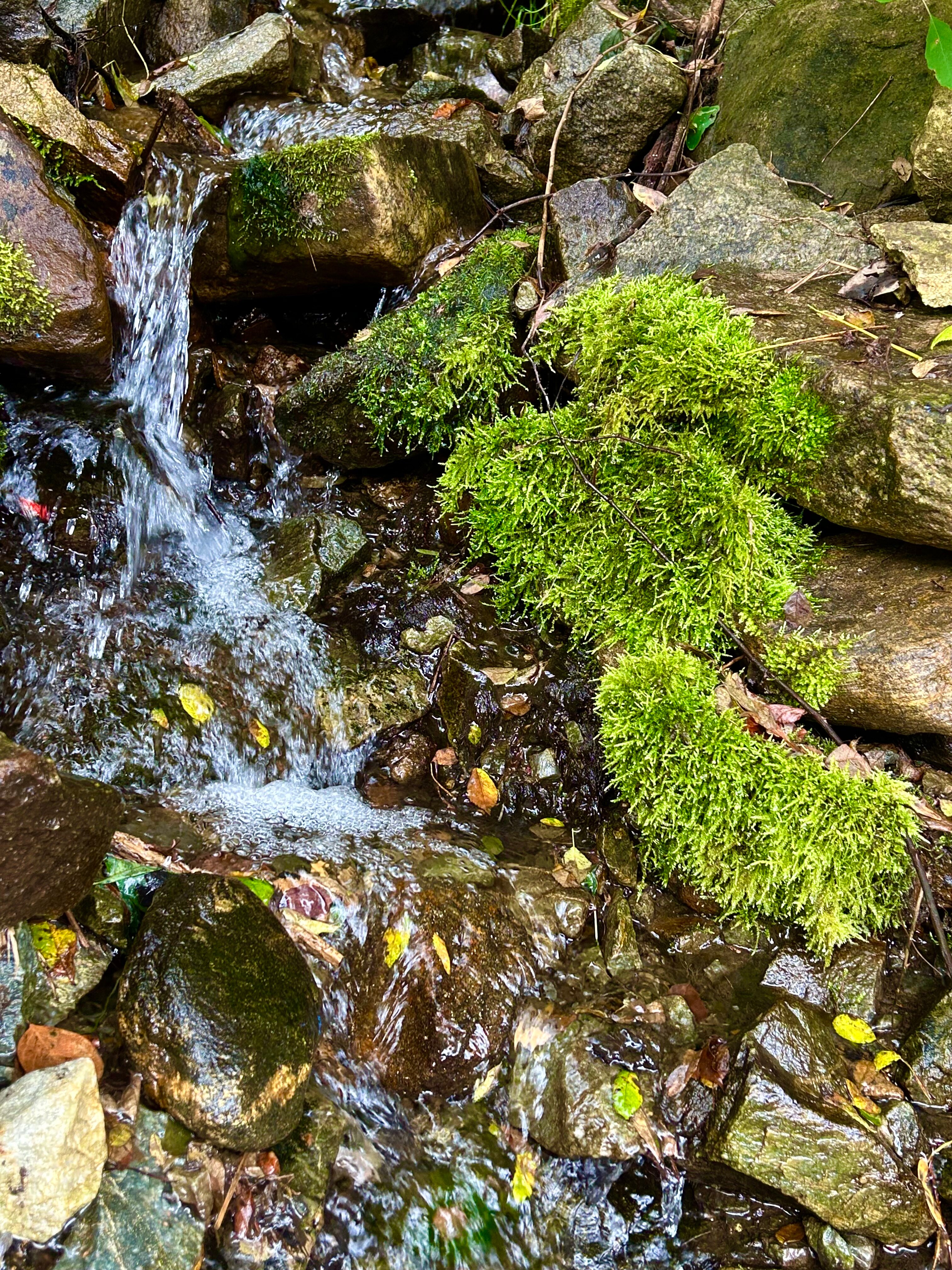 Graystone Lodge-浴室