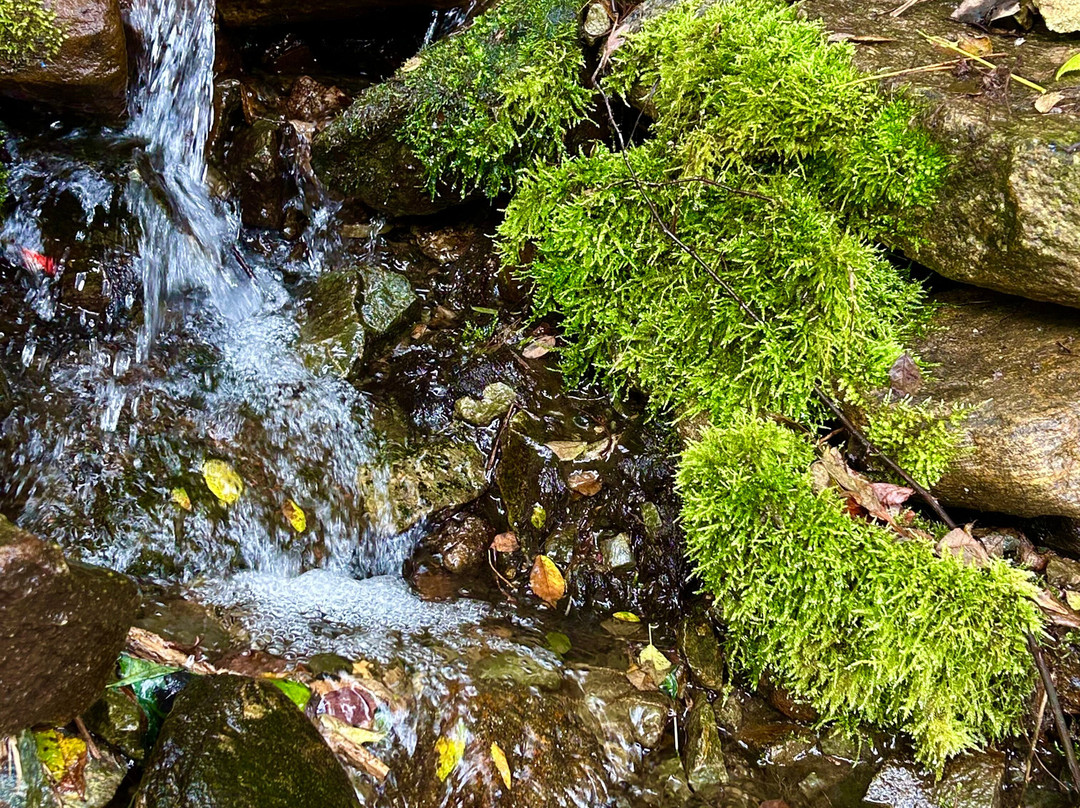 Graystone Lodge主图