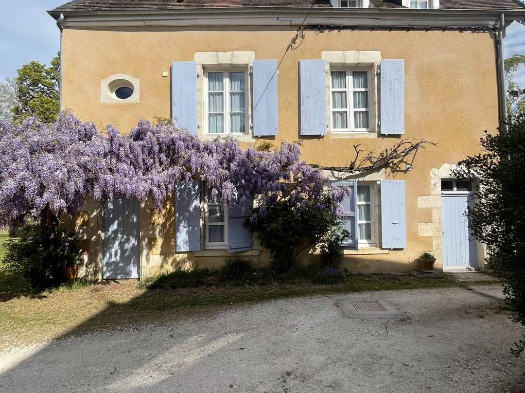 La Petite Maison Amandinoise主图