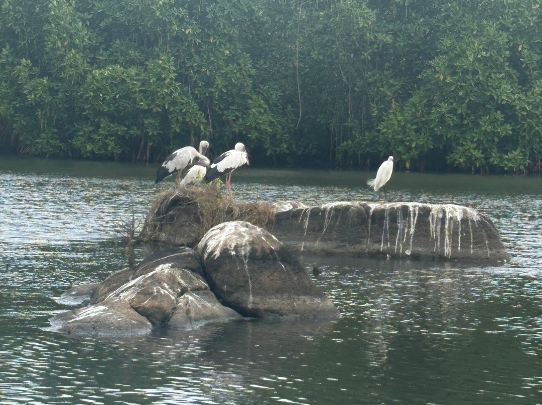 Koggala Lake Boat Safari-哈巴拉杜瓦必去景点