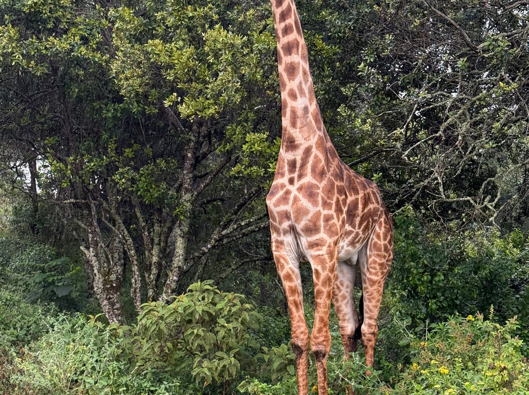 Priva Safaris and Adventures-姆万扎必去景点