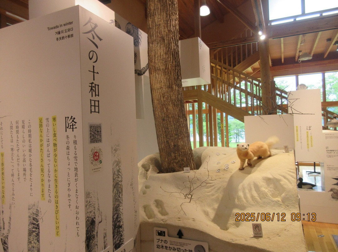 Towada Visitor Center-十和田市必去景点